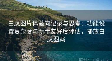 白虎图片体验向记录与思考：功能设置复杂度与新手友好度评估，播放白虎图案
