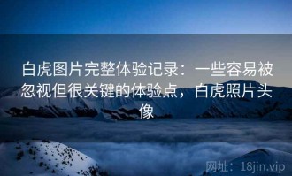 白虎图片完整体验记录：一些容易被忽视但很关键的体验点，白虎照片头像