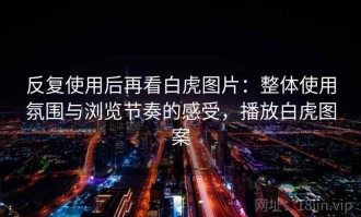 反复使用后再看白虎图片：整体使用氛围与浏览节奏的感受，播放白虎图案