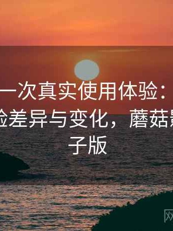 蘑菇tv的一次真实使用体验：不同入口下的体验差异与变化，蘑菇影视tv盒子版