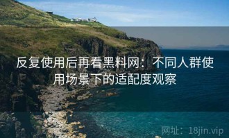 反复使用后再看黑料网：不同人群使用场景下的适配度观察