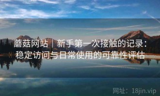 蘑菇网站｜新手第一次接触的记录：稳定访问与日常使用的可靠性评估