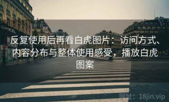 反复使用后再看白虎图片：访问方式、内容分布与整体使用感受，播放白虎图案