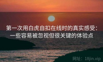 第一次用白虎自扣在线时的真实感受：一些容易被忽视但很关键的体验点