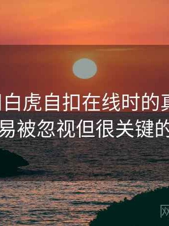 第一次用白虎自扣在线时的真实感受：一些容易被忽视但很关键的体验点