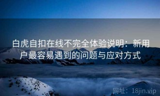 白虎自扣在线不完全体验说明：新用户最容易遇到的问题与应对方式
