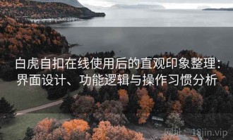 白虎自扣在线使用后的直观印象整理：界面设计、功能逻辑与操作习惯分析