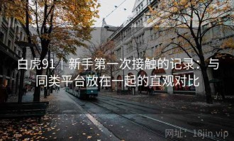 白虎91｜新手第一次接触的记录：与同类平台放在一起的直观对比
