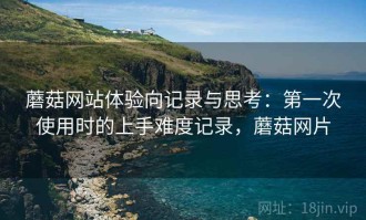 蘑菇网站体验向记录与思考：第一次使用时的上手难度记录，蘑菇网片