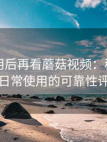 反复使用后再看蘑菇视频：稳定访问与日常使用的可靠性评估