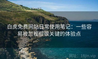 白虎免费网站日常使用笔记：一些容易被忽视但很关键的体验点