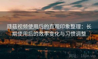 蘑菇视频使用后的直观印象整理：长期使用后的效率变化与习惯调整