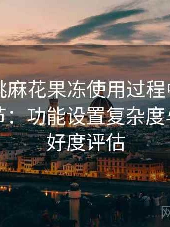天美蜜桃麻花果冻使用过程中发现的一些细节：功能设置复杂度与新手友好度评估