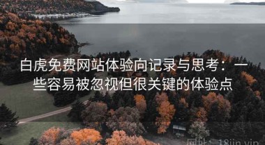 白虎免费网站体验向记录与思考：一些容易被忽视但很关键的体验点