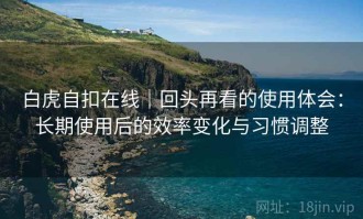 白虎自扣在线｜回头再看的使用体会：长期使用后的效率变化与习惯调整