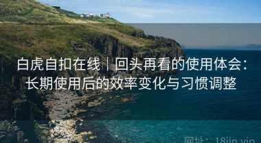 白虎自扣在线｜回头再看的使用体会：长期使用后的效率变化与习惯调整