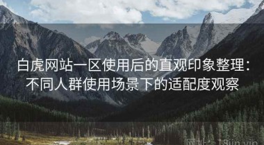 白虎网站一区使用后的直观印象整理：不同人群使用场景下的适配度观察