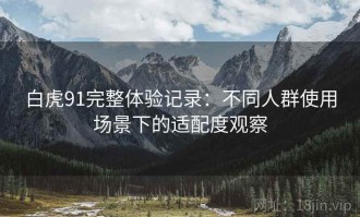 白虎91完整体验记录：不同人群使用场景下的适配度观察