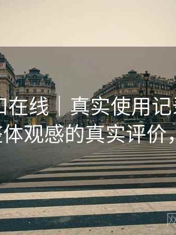 白虎自扣在线｜真实使用记录：视觉风格与整体观感的真实评价，白虎t恤
