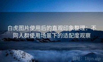 白虎图片使用后的直观印象整理：不同人群使用场景下的适配度观察