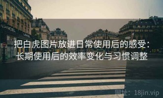 把白虎图片放进日常使用后的感受：长期使用后的效率变化与习惯调整