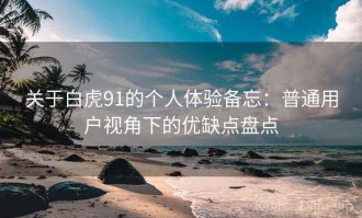 关于白虎91的个人体验备忘：普通用户视角下的优缺点盘点