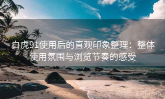 白虎91使用后的直观印象整理：整体使用氛围与浏览节奏的感受