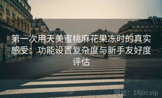 第一次用天美蜜桃麻花果冻时的真实感受：功能设置复杂度与新手友好度评估