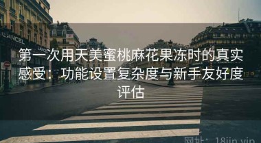 第一次用天美蜜桃麻花果冻时的真实感受：功能设置复杂度与新手友好度评估