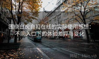 围绕白虎自扣在线的实际使用感想：不同入口下的体验差异与变化