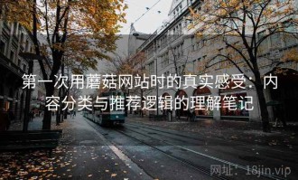 第一次用蘑菇网站时的真实感受：内容分类与推荐逻辑的理解笔记