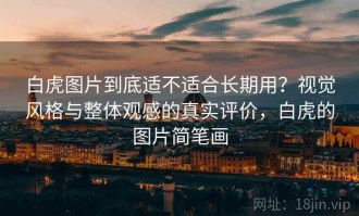 白虎图片到底适不适合长期用？视觉风格与整体观感的真实评价，白虎的图片简笔画