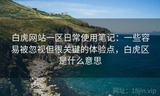 白虎网站一区日常使用笔记：一些容易被忽视但很关键的体验点，白虎区是什么意思