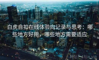 白虎自扣在线体验向记录与思考：哪些地方好用，哪些地方需要适应