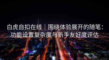 白虎自扣在线｜围绕体验展开的随笔：功能设置复杂度与新手友好度评估