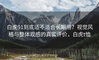 白虎91到底适不适合长期用？视觉风格与整体观感的真实评价，白虎t恤