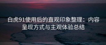 白虎91使用后的直观印象整理：内容呈现方式与主观体验总结