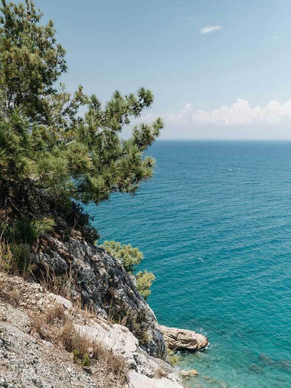 第一次用白虎嫩白时的真实感受：在手机与电脑端的实际体验差别