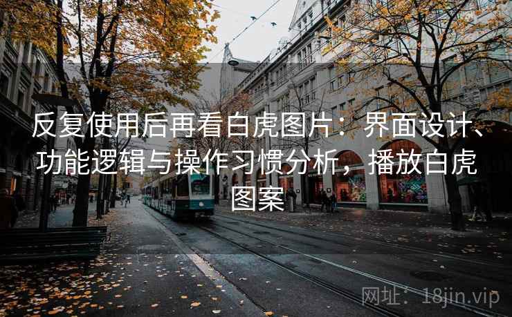 反复使用后再看白虎图片：界面设计、功能逻辑与操作习惯分析，播放白虎图案