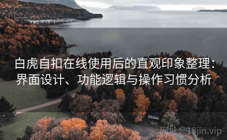 白虎自扣在线使用后的直观印象整理：界面设计、功能逻辑与操作习惯分析