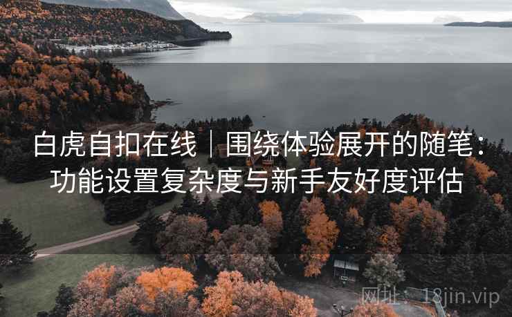 白虎自扣在线|围绕体验展开的随笔:功能设置复杂度与新手友好度评估 白虎自扣在线|围绕体验展开的随笔:功能设置复杂度与新手友好度评估