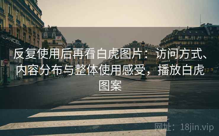 反复使用后再看白虎图片：访问方式、内容分布与整体使用感受，播放白虎图案