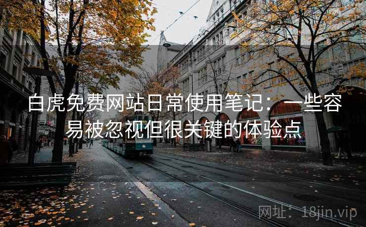 白虎免费网站日常使用笔记：一些容易被忽视但很关键的体验点
