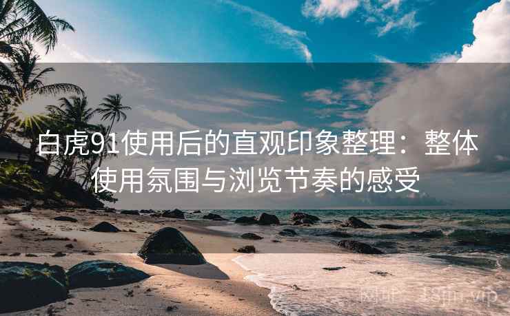 白虎91使用后的直观印象整理：整体使用氛围与浏览节奏的感受