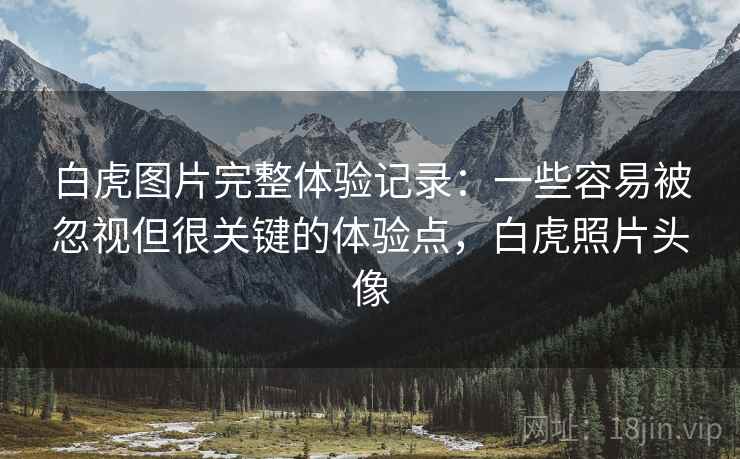 白虎图片完整体验记录：一些容易被忽视但很关键的体验点，白虎照片头像