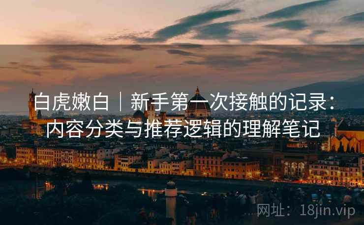 白虎嫩白｜新手第一次接触的记录：内容分类与推荐逻辑的理解笔记