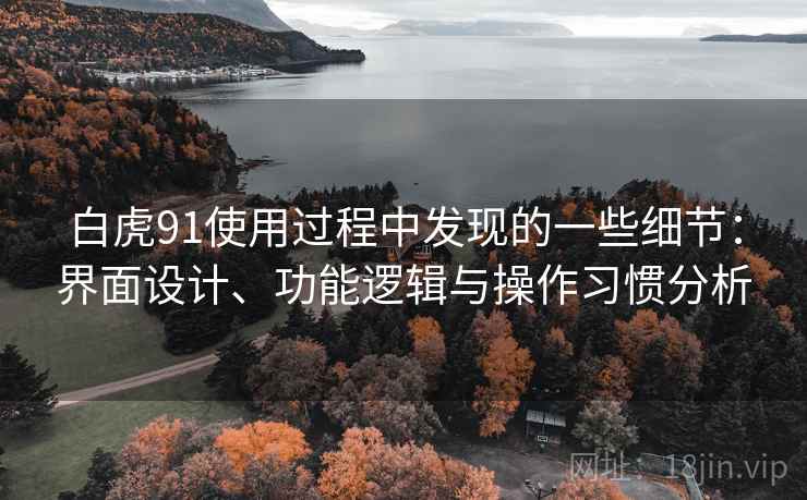 白虎91使用过程中发现的一些细节：界面设计、功能逻辑与操作习惯分析