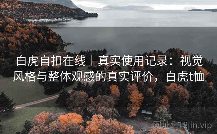白虎自扣在线｜真实使用记录：视觉风格与整体观感的真实评价，白虎t恤