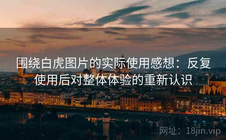 围绕白虎图片的实际使用感想：反复使用后对整体体验的重新认识