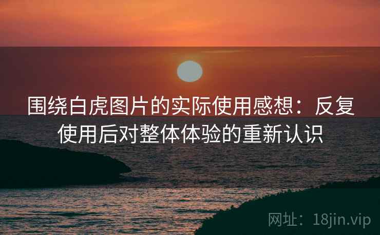 围绕白虎图片的实际使用感想：反复使用后对整体体验的重新认识